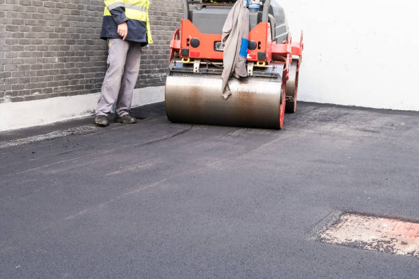 Best Driveway Snow Removal Preparation  in Belle Plaine, KS